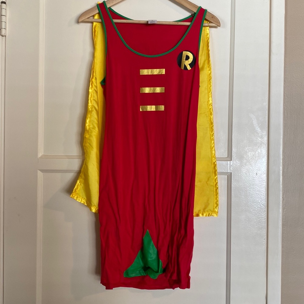 Lady Robin from Batman costume